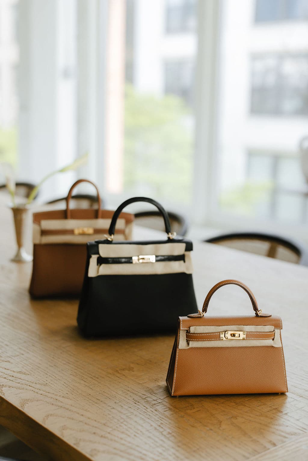 Hermès Birkin 25 collection