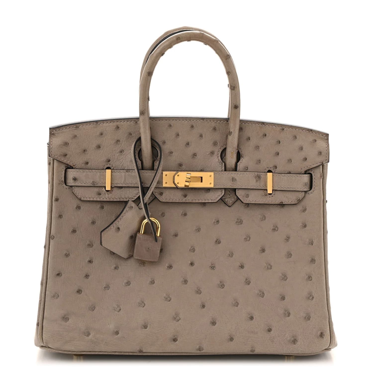 Hermès Birkin 25
