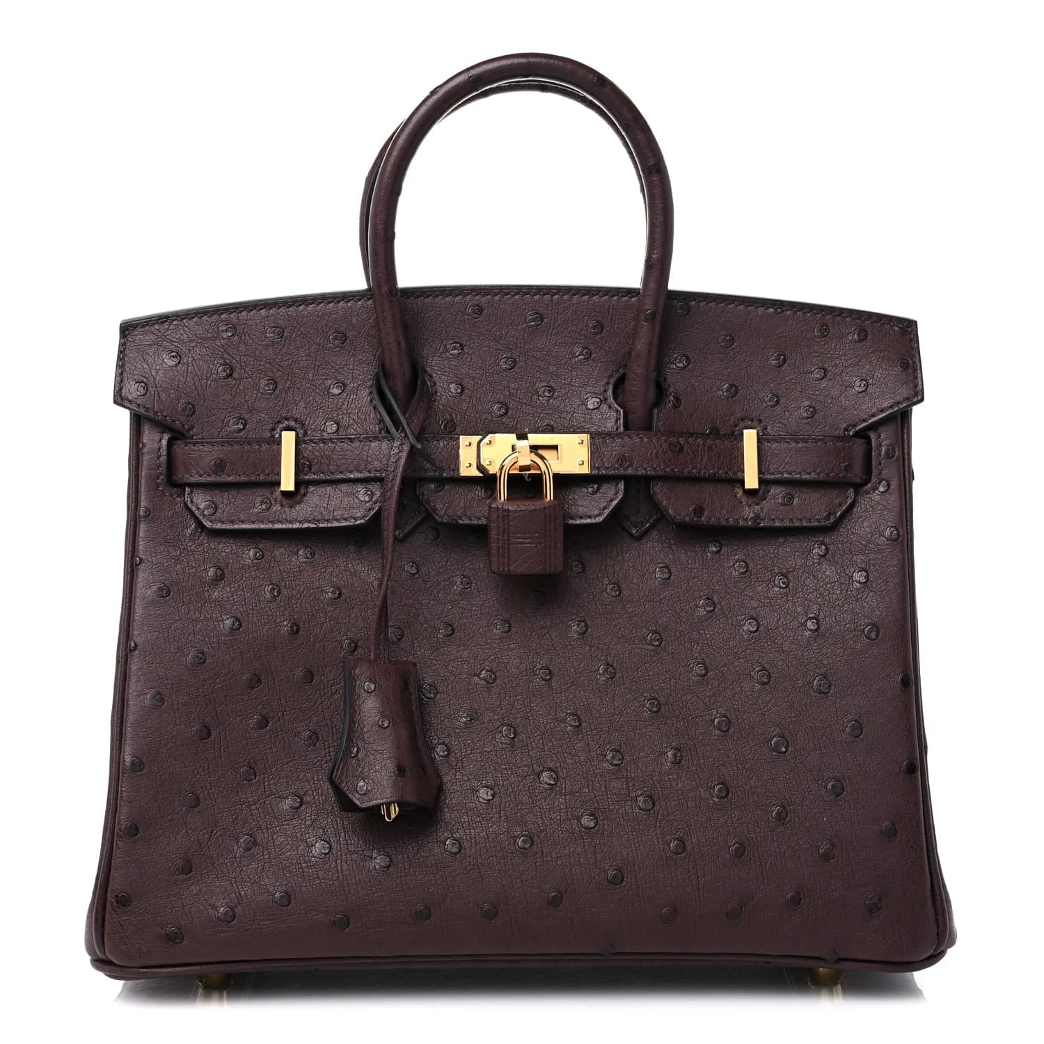 Hermès Birkin 25
