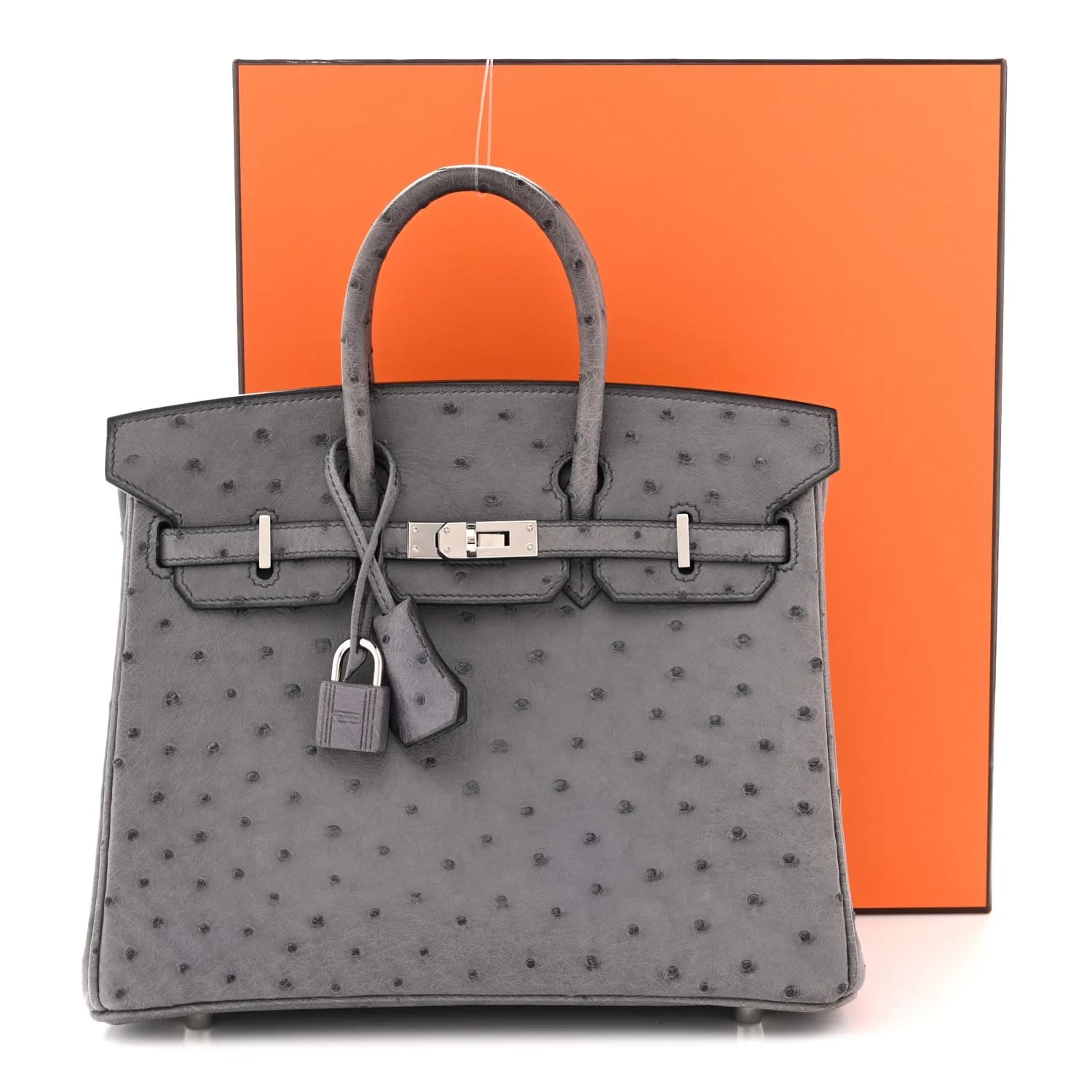 Hermès Birkin 25 - Image 15