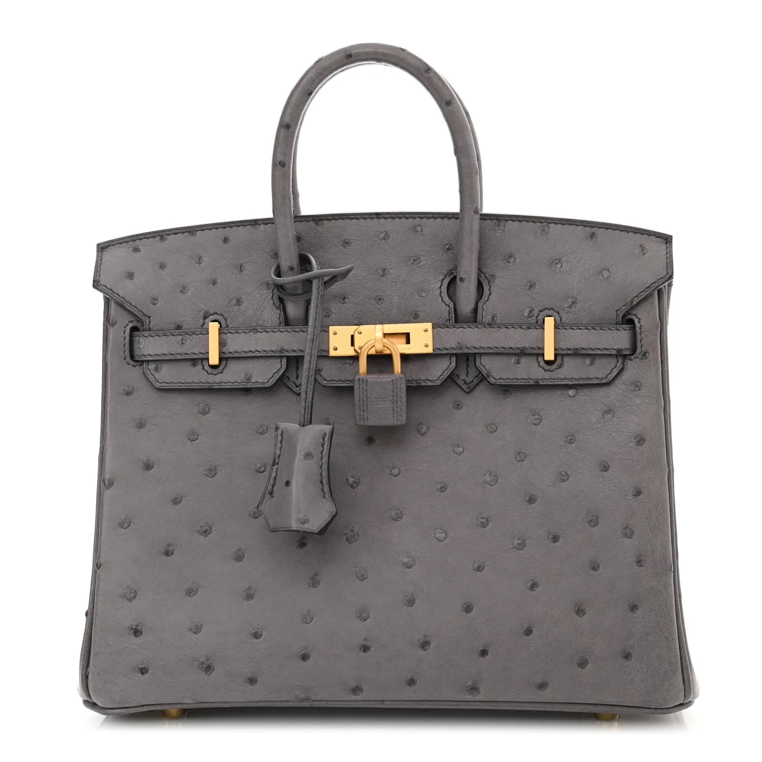 Hermès Birkin 25