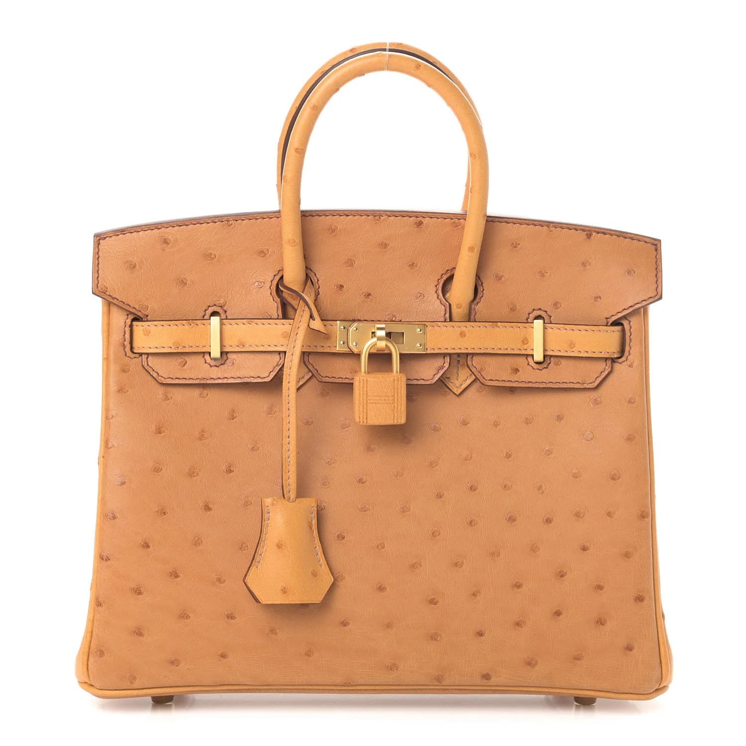 Hermès Birkin 25