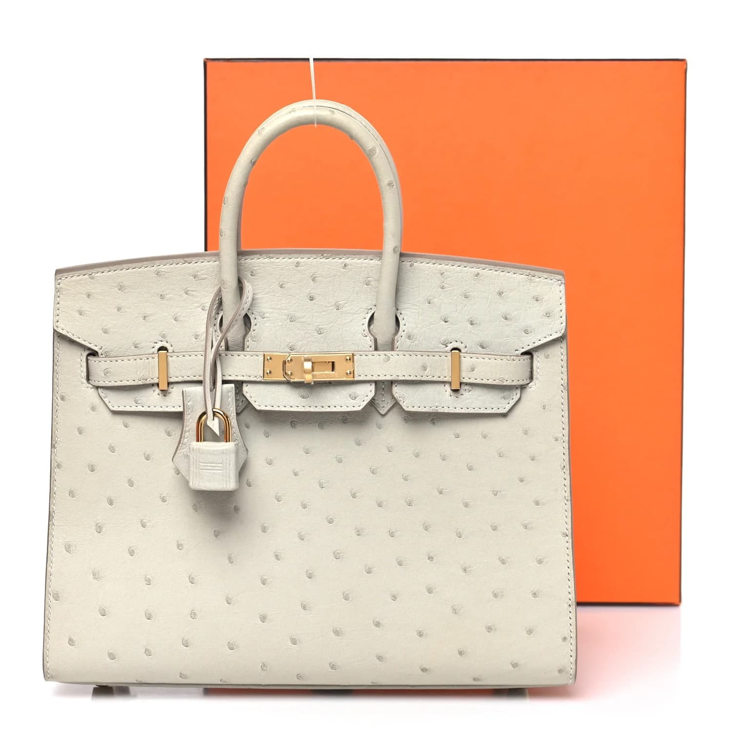 Hermès Birkin 25 - Image 10