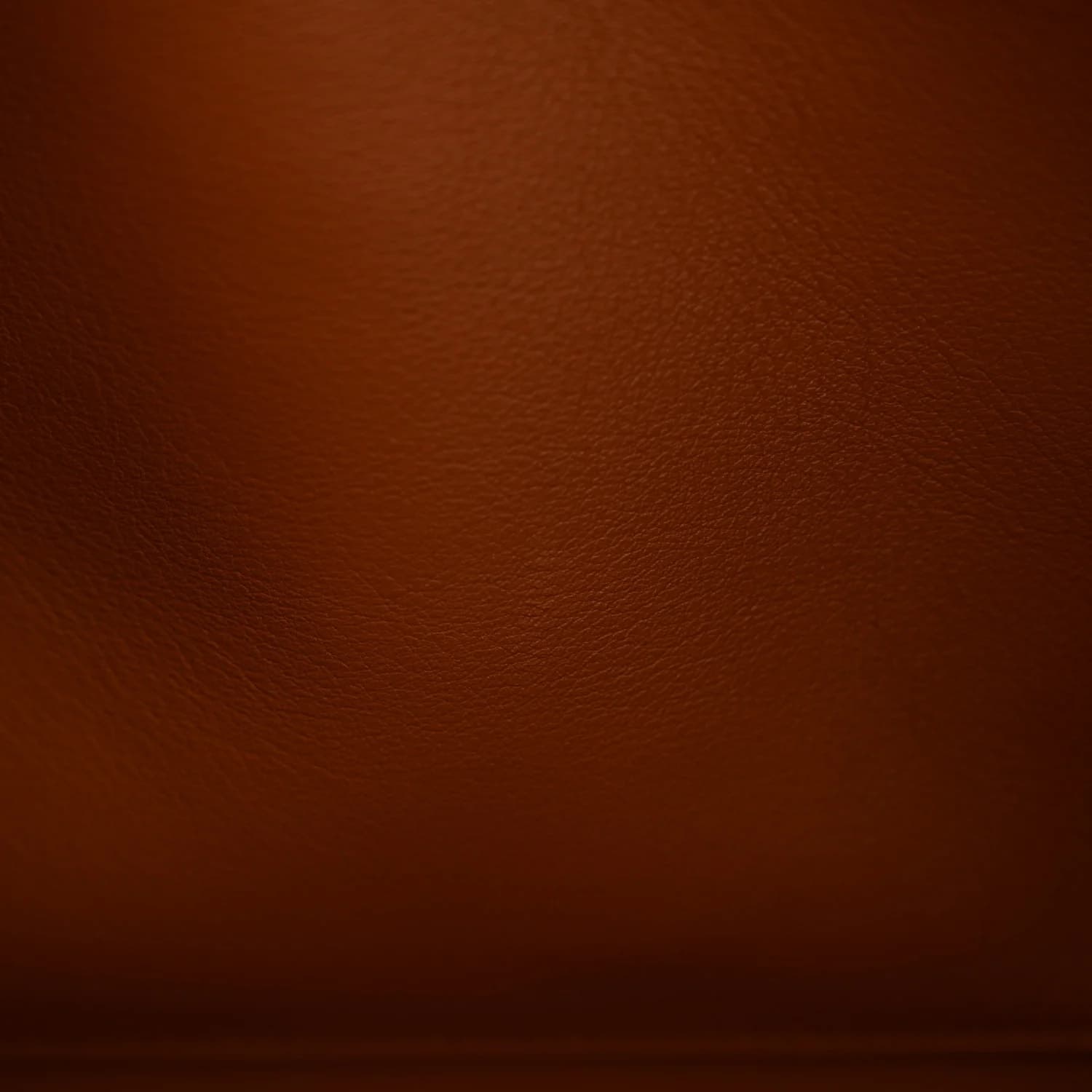Hermès Birkin - Image 10
