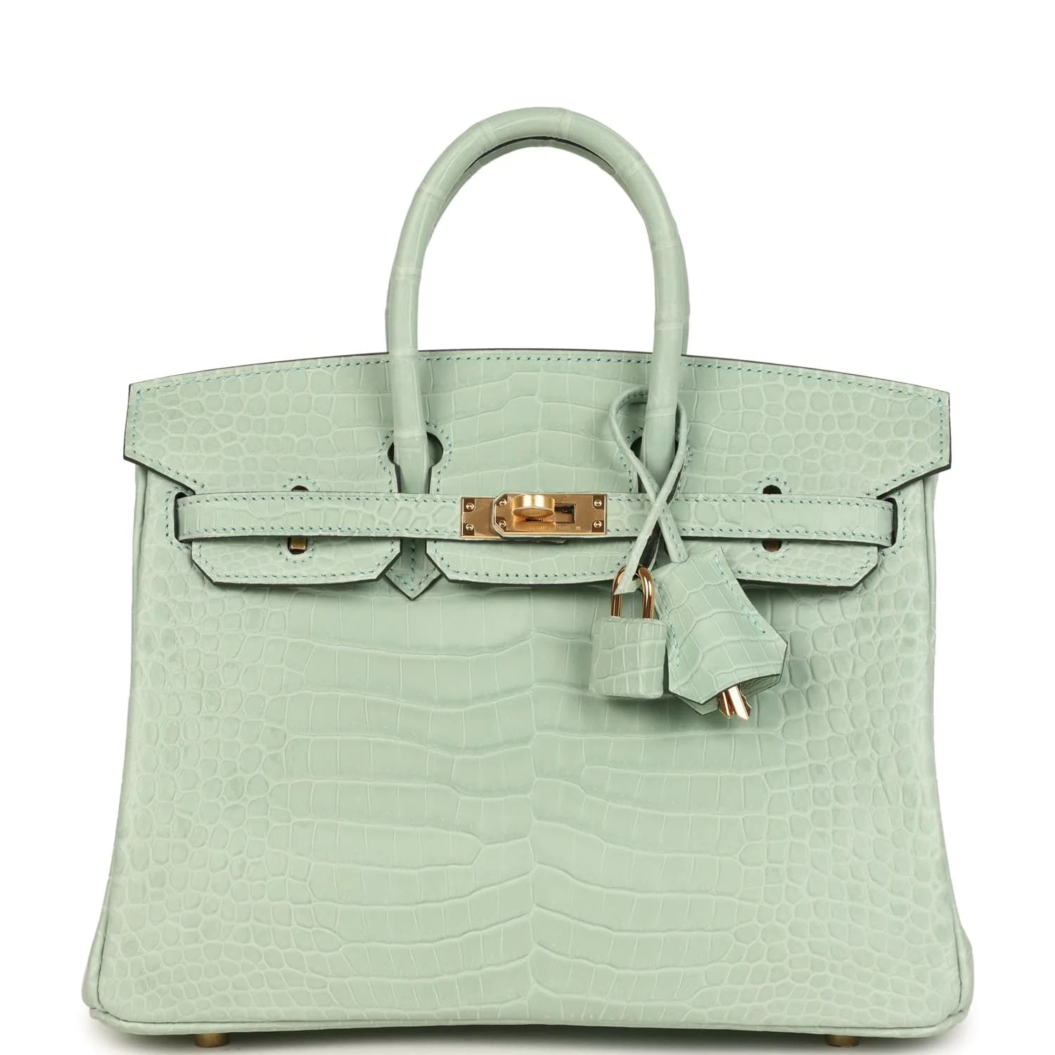 Birkin 25 Matte Crocodile Porosus Vert D'Eau Gold