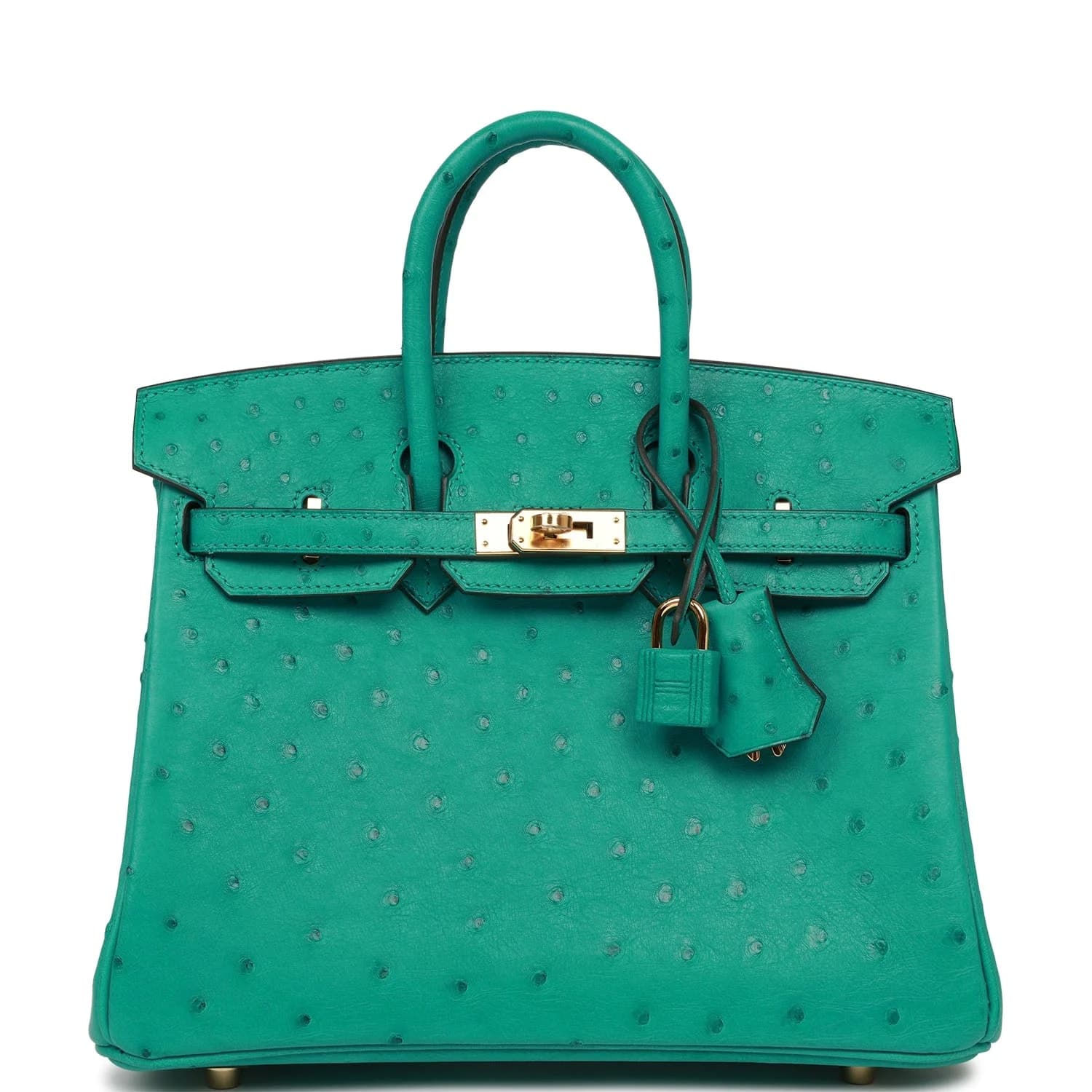 Hermès Birkin 25 - Image 1