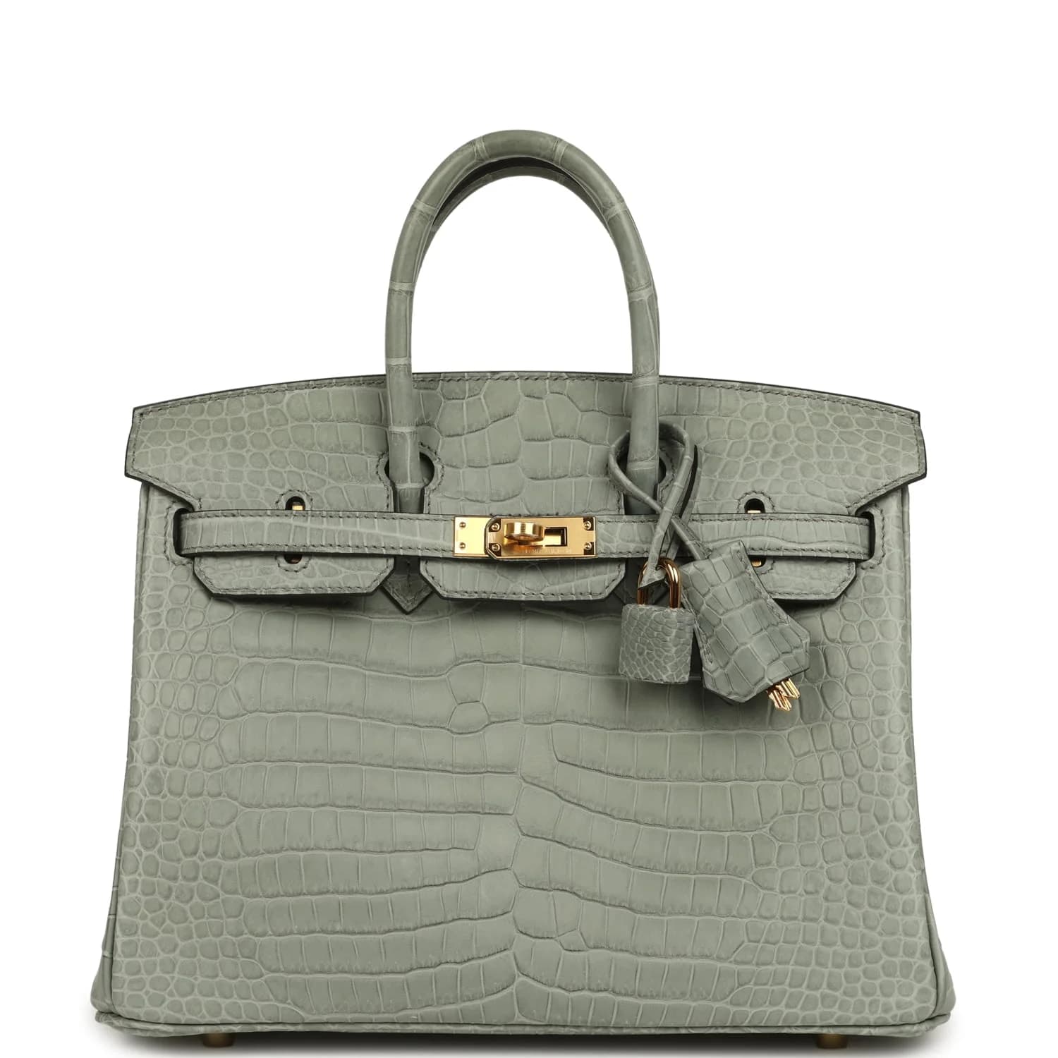 Hermès Birkin 25 - Image 1