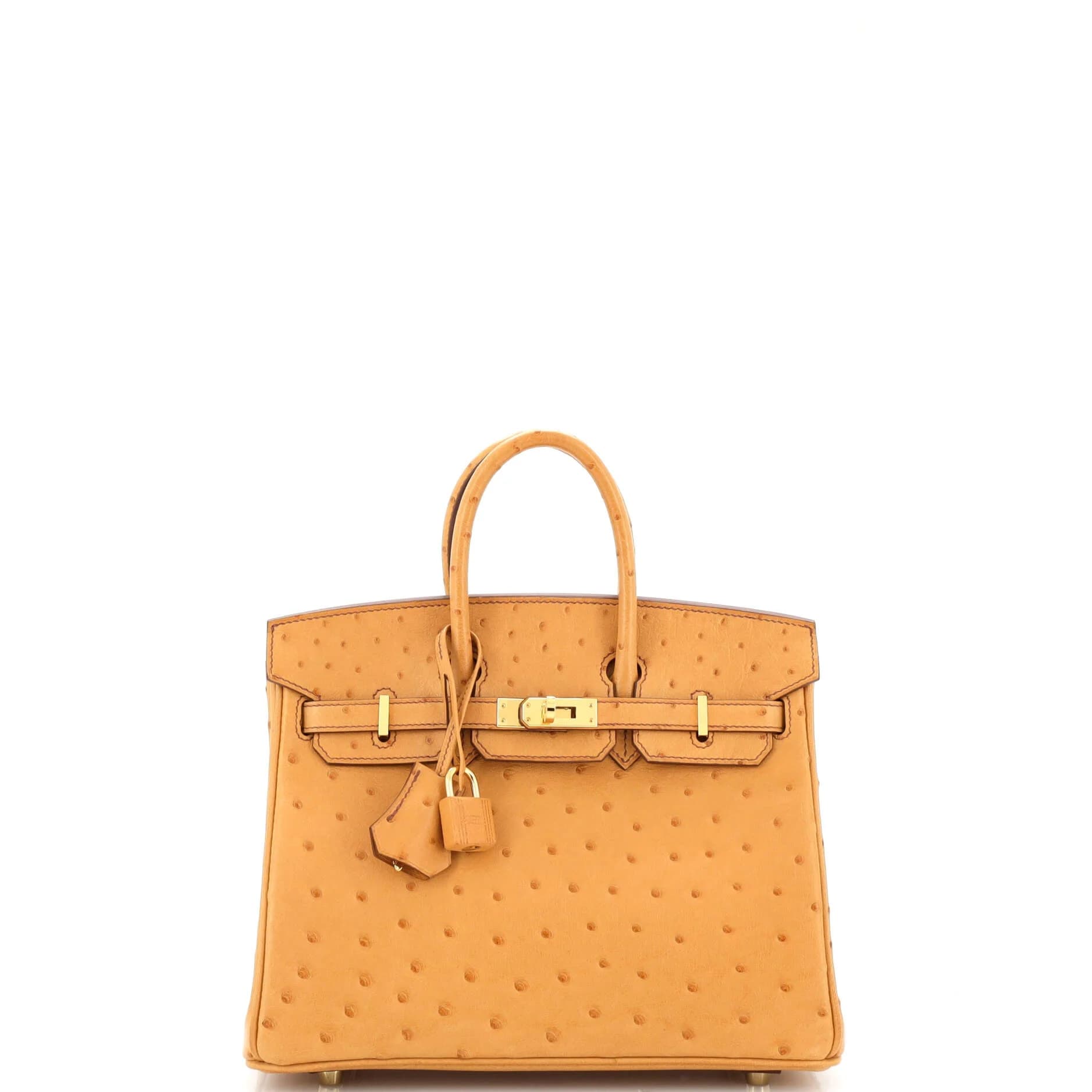 Hermès Birkin 25