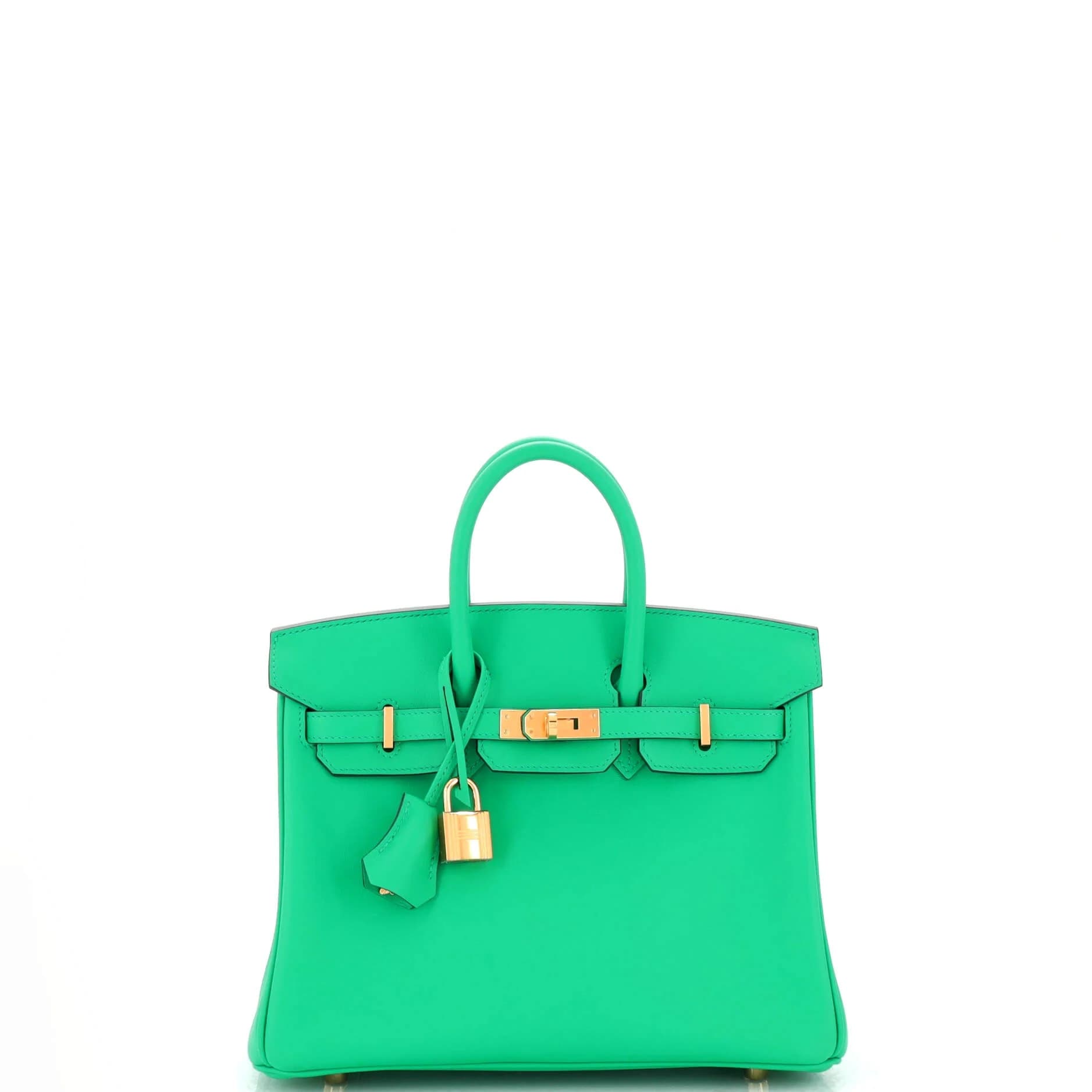 Hermès Birkin 25