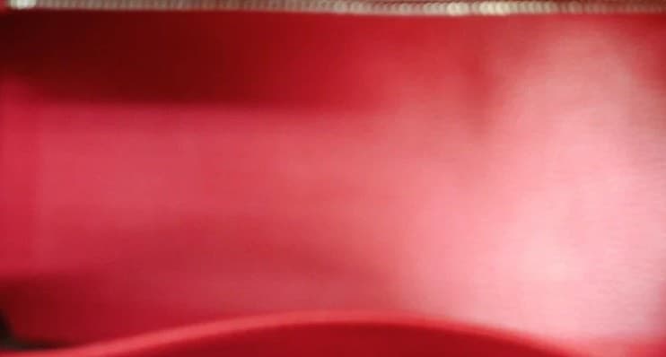 Hermès Birkin 25 - Image 5