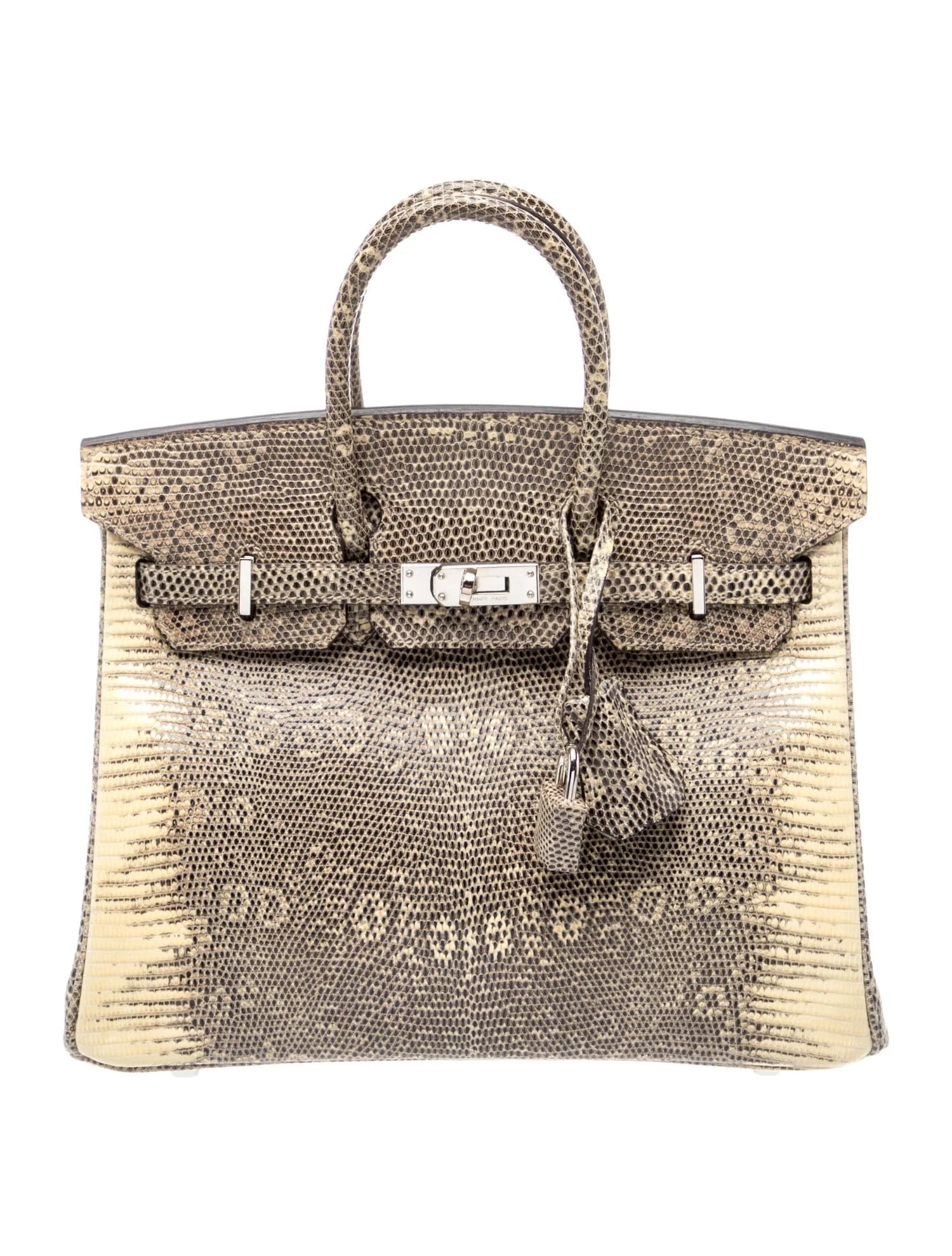 Hermès Birkin 25 - Image 1