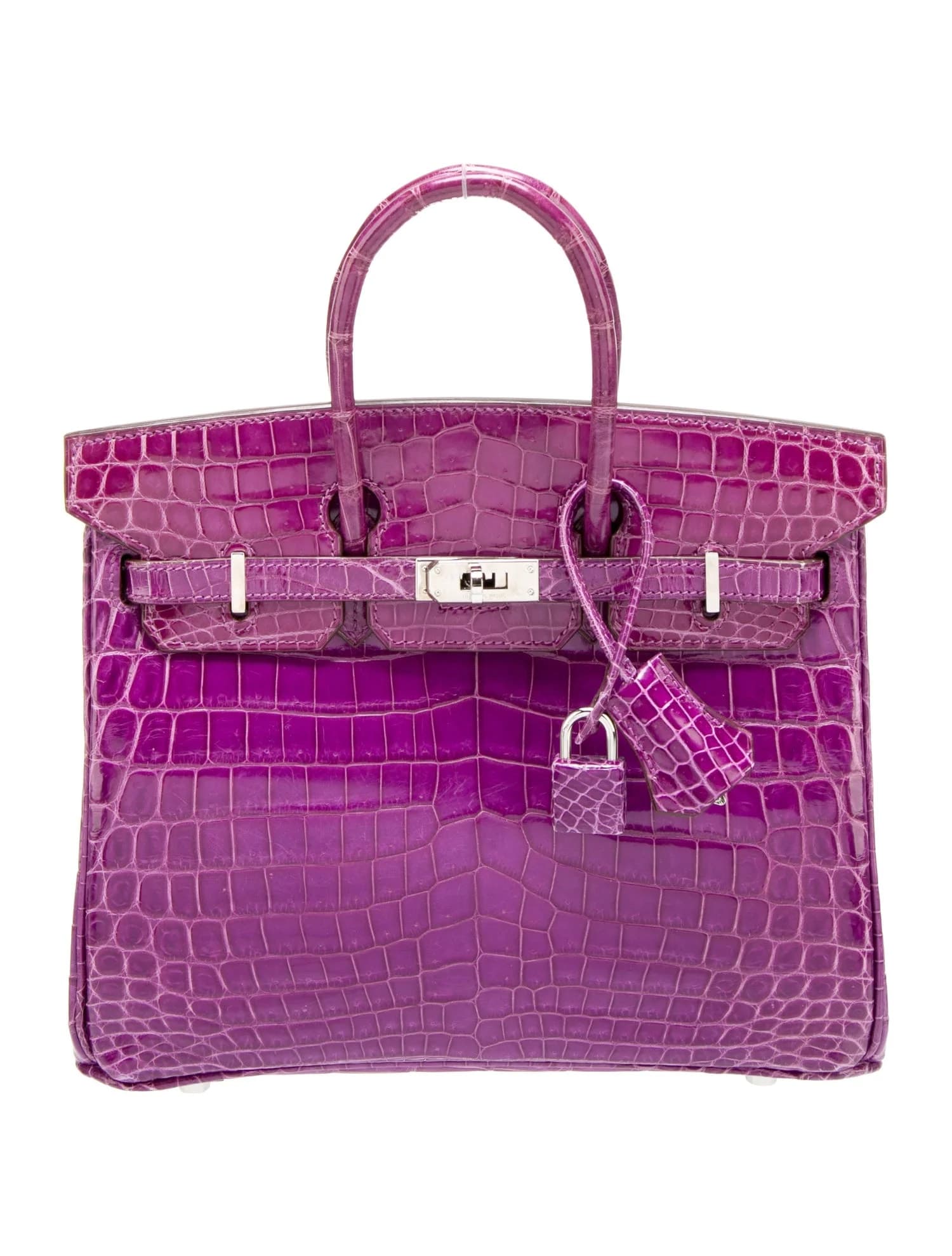 Birkin 25 Shiny Niloticus Crocodile Anemone Palladium