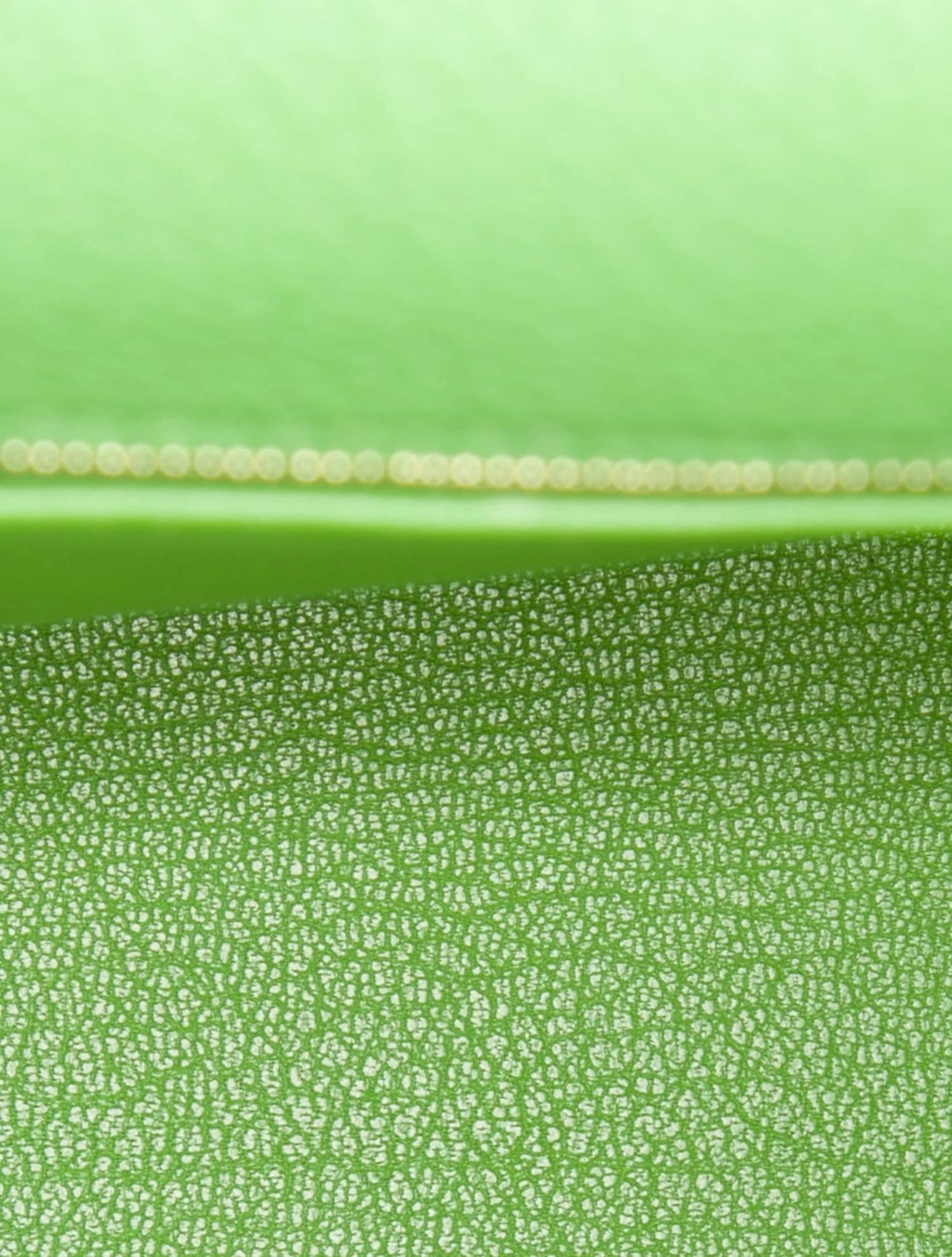 Hermès Kelly 25 - Image 6